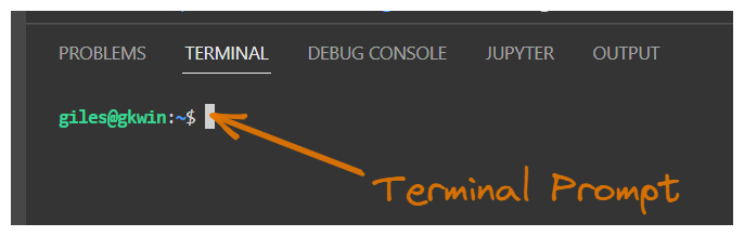 VSCode Startup