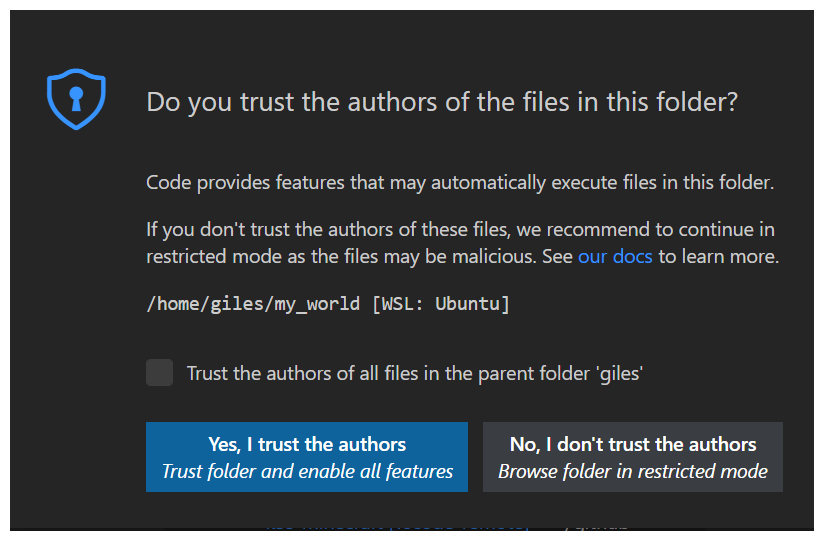 VSCode Startup